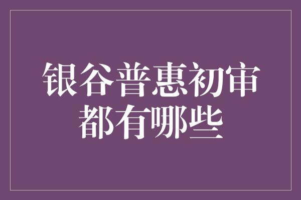 银谷普惠初审都有哪些