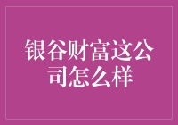 银谷财富：财富管理的淘金大篷车还是摸不清底的小怪兽？