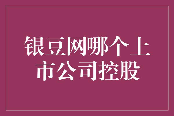 银豆网哪个上市公司控股