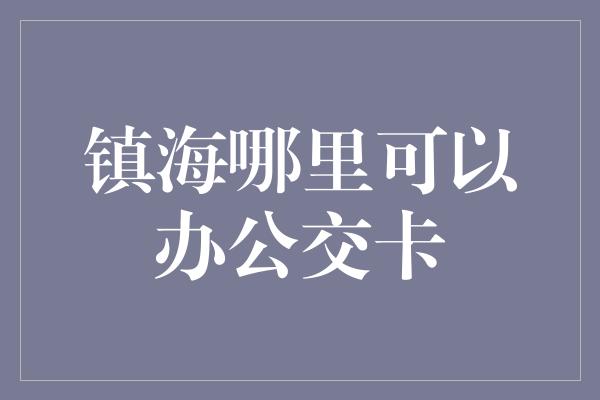 镇海哪里可以办公交卡