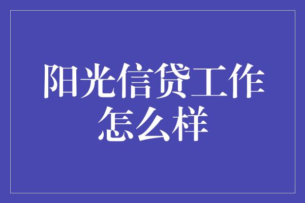 阳光信贷工作怎么样