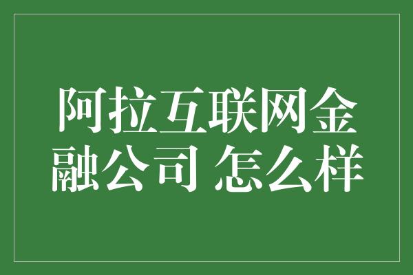 阿拉互联网金融公司 怎么样