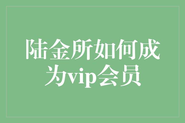 陆金所如何成为vip会员