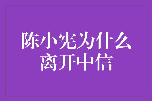 陈小宪为什么离开中信