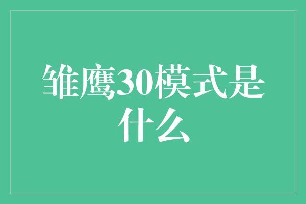 雏鹰30模式是什么