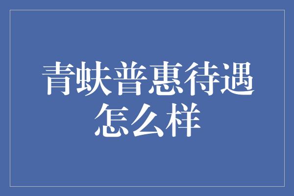 青蚨普惠待遇怎么样