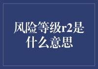 风险等级R2：市场波动与投资抉择