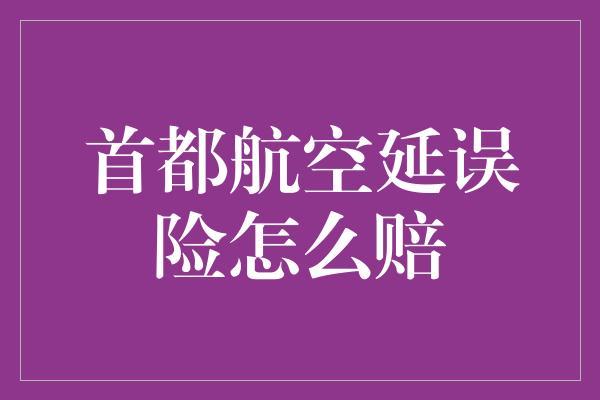 首都航空延误险怎么赔