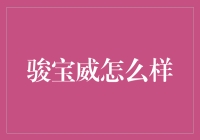 骏宝威：我骑过的最能代表宝字的电动车