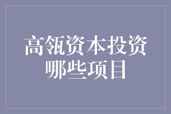 高瓴资本投资哪些项目