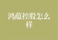 鸿蕴控股：你见过比它还蕴味无穷的公司吗？