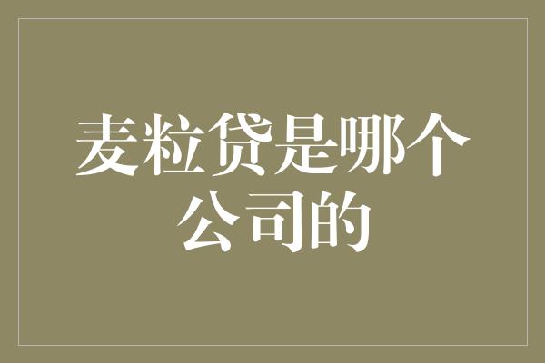 麦粒贷是哪个公司的