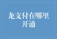 龙支付：从银行网点到线上平台的全面覆盖