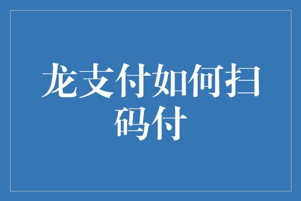 龙支付如何扫码付