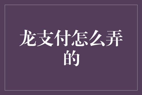 龙支付怎么弄的