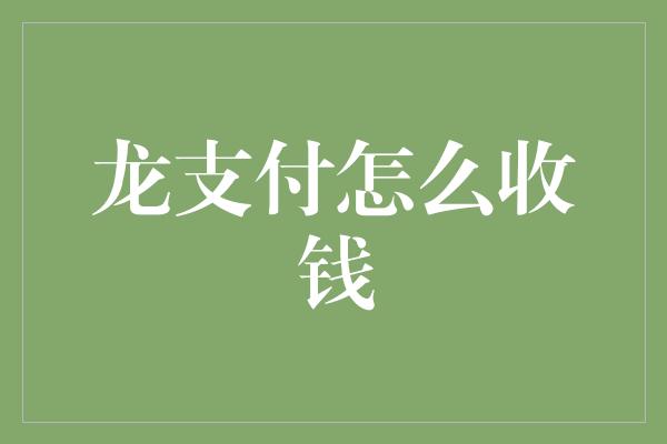 龙支付怎么收钱