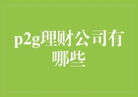 最实用的P2G理财公司推荐指南：如何用理财资金支持政府项目？