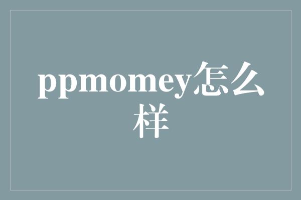 ppmomey怎么样