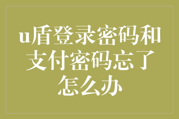 u盾登录密码和支付密码忘了怎么办