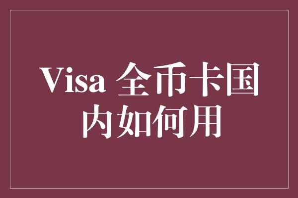 Visa 全币卡国内如何用